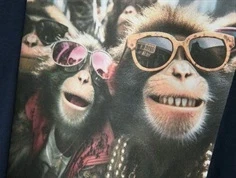 Name It t-shirt navy blazer med abe print